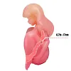 Cindy: Medical Silicone Anime Onahole &ndash; Compact Anime Sex Doll