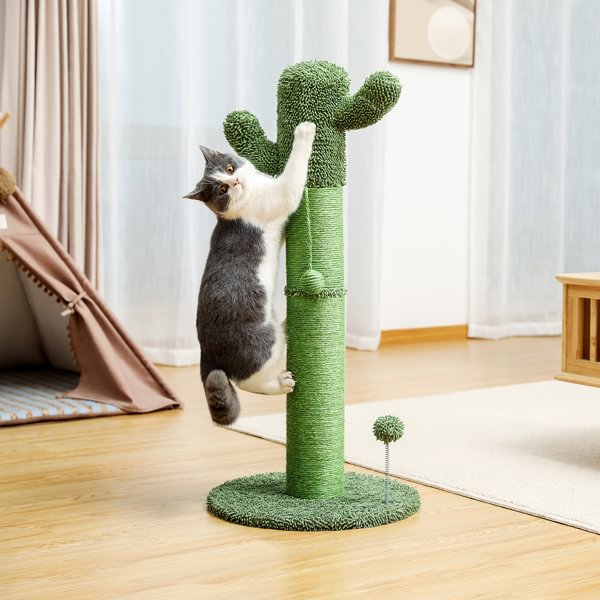 Cactus Cat Tree Cat Scratcher with Sisal Scratching Post and Interactive Dangling Ball For Indoor Cats