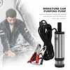 DC 12V Diesel Pump with Clip Oil Extractor for Car Motorbike Boat (Silver)