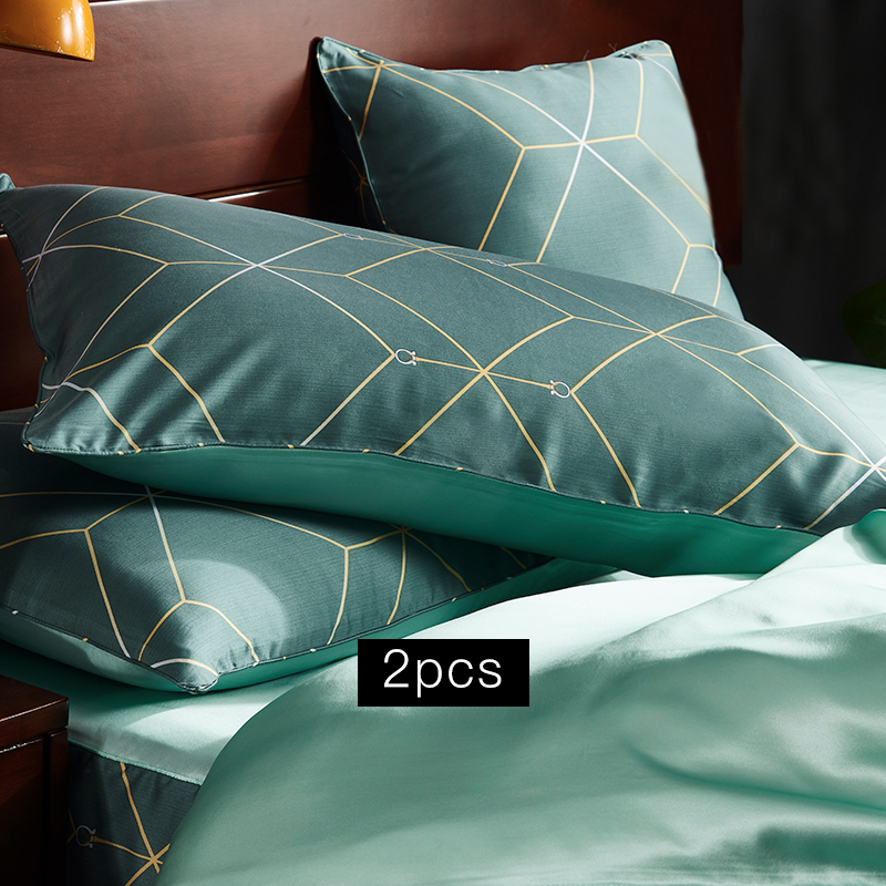 19 Momme Cyan Pattern Printed Single Side Mulberry Silk Pillowcase | Pillowcases 2pcs-Real Silk Life