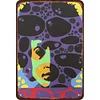 (Multi Style)Bob Dylan - Metal Tin Signs(8*12Inch/12*16Inch)