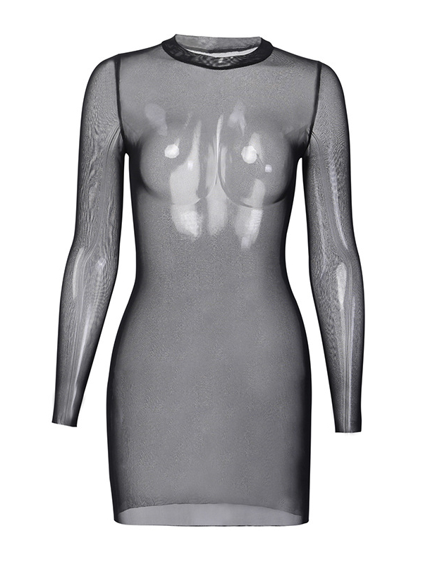 Sexy Bodycon Long Sleeve Crew Neck See Through High-rise Midi Dress