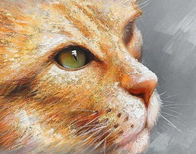 

Cat Eye – Paint By Numbers - 40*50CM, 501 Original