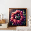 uk.everydayedeals Diamond Painting - Full Round - Hummingbird