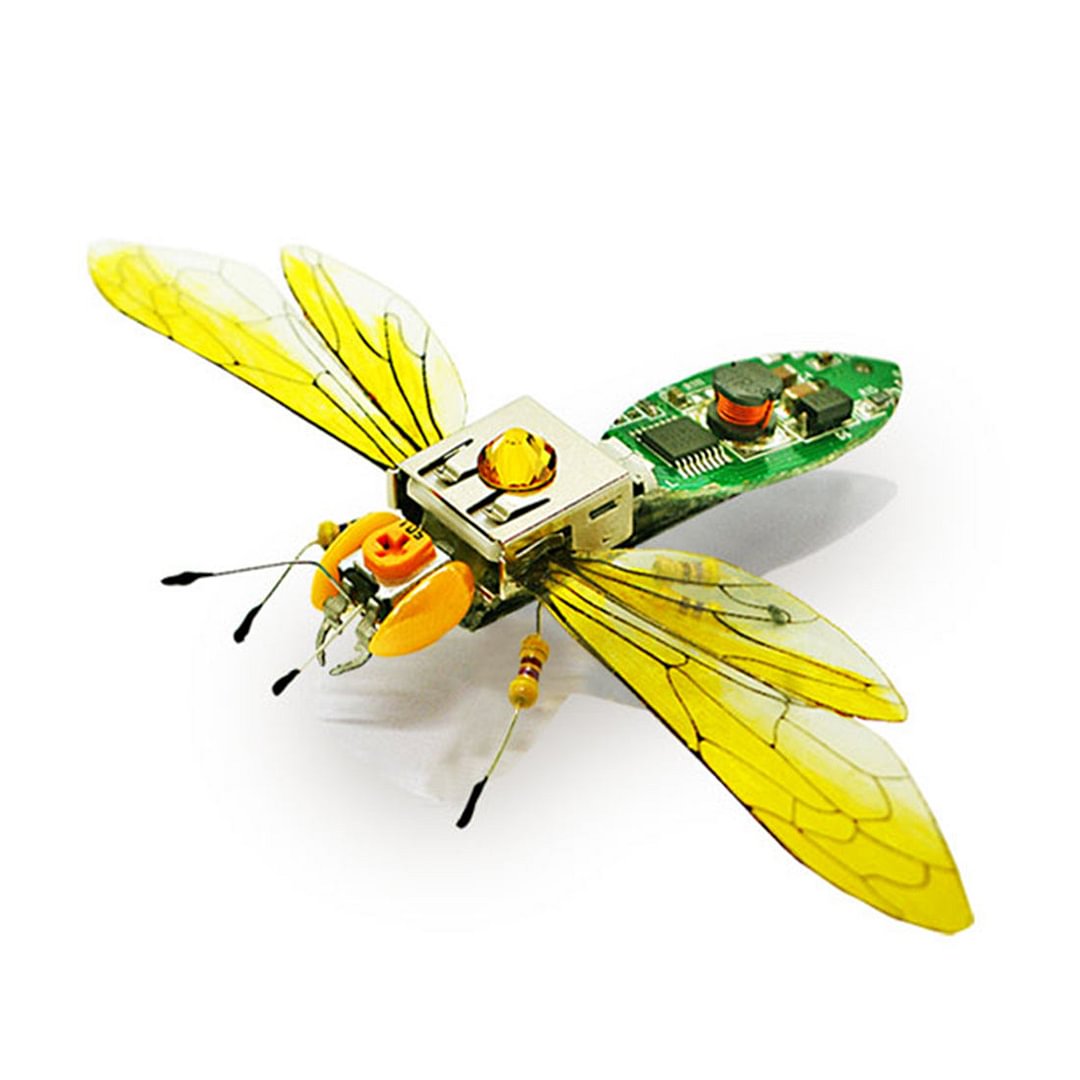 DIY Assembly Insect Vespa Bee Model Handmade Scientific Toy with Voice Activated Photo Frame,okpuzzle,3dpuzzle,puzzle shop,puzzle store