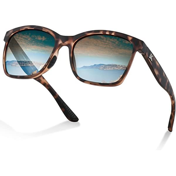 Mens Polarized Sunglasses 