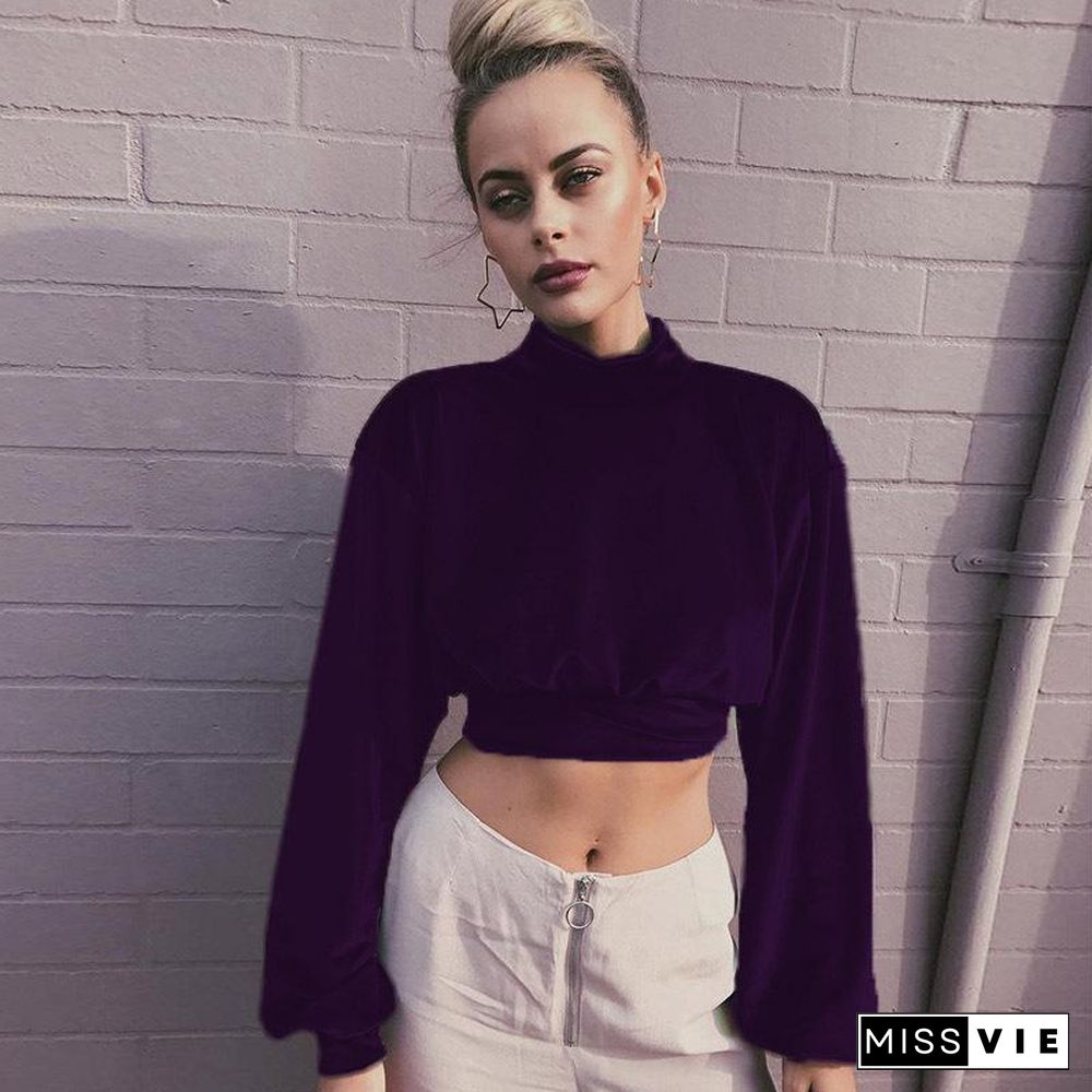 High Neck Midriff Baring Velvet Long Sleeve Top