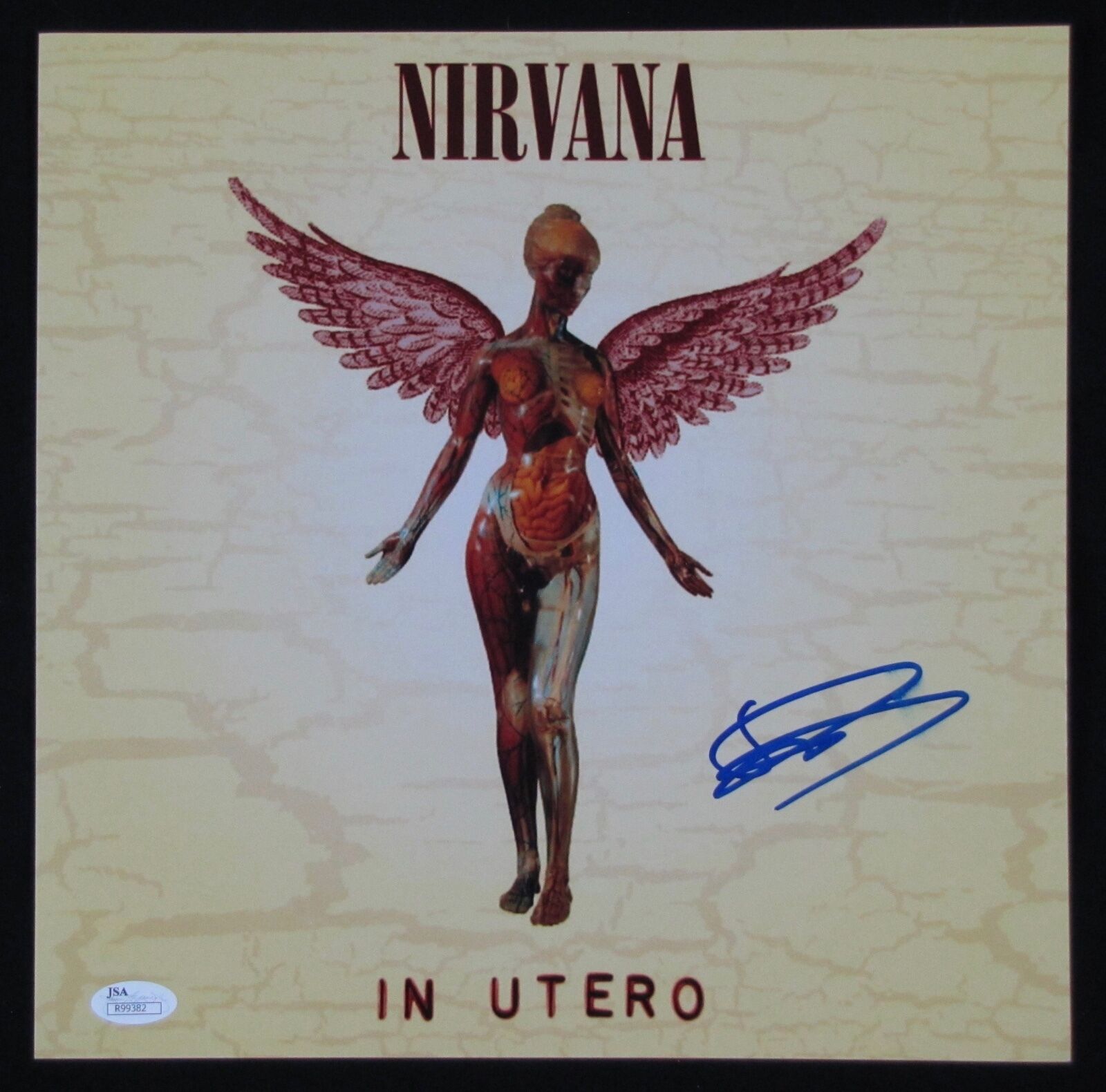 Dave Grohl Nirvana JSA 12 x 12 Photo Poster painting Signed Autographed In Utero