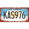 U.S. states - Car License(6*12Inch) - Garage