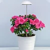Full Spectrum Grow Lights Height Adjustable Plant Growing Lamp for Indoor Plants