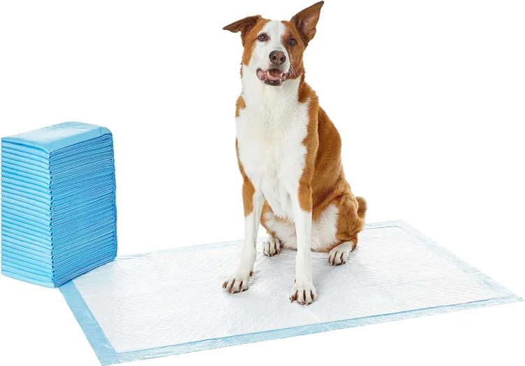 Dog and Puppy Pee Pads with Leak-Proof Quick-Dry Design for Potty Training. Standard Absorbency. Regular Size. 22 x 22 Inches. Pack of 100. Blue & White