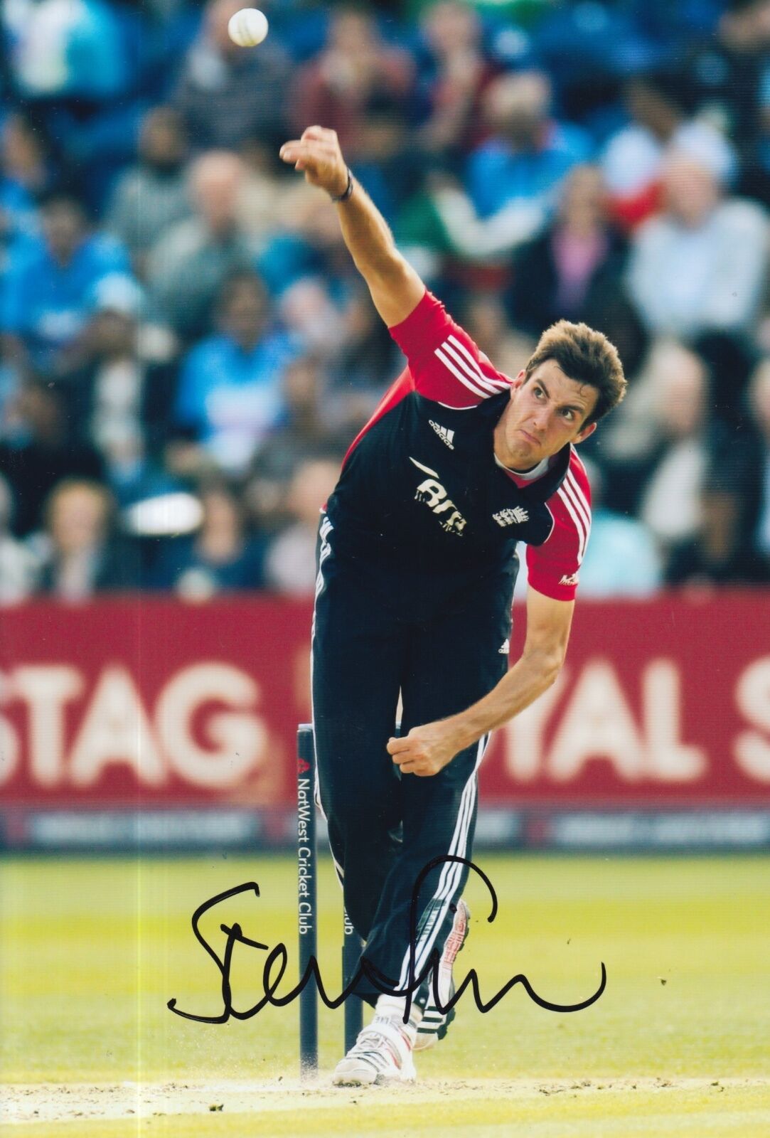 STEVEN FINN HAND SIGNED 12X8 Photo Poster painting ENGLAND CRICKET.