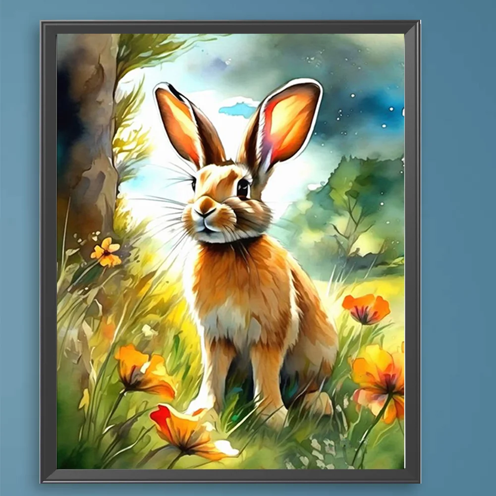 DIY Paint By Number 40*50cm - Rabbit