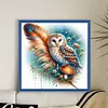 Owl-Partial 11CT Stamped Cross Stitch Bead Embroidery 36*36cm/14.17*14.17in tapestrymarket