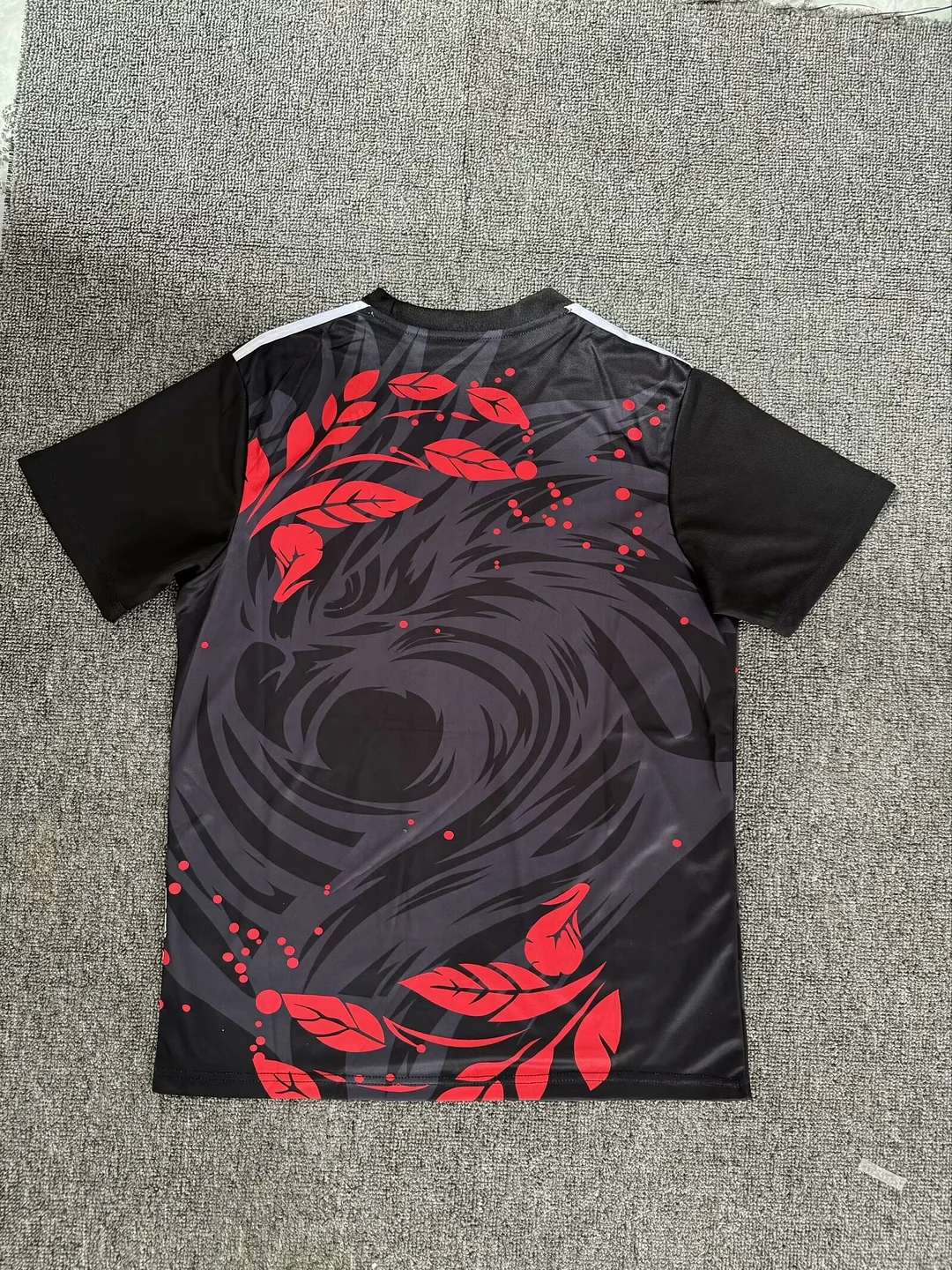 24/25 Liverpool Special Eidtion Black Football Shirt Thai Quality