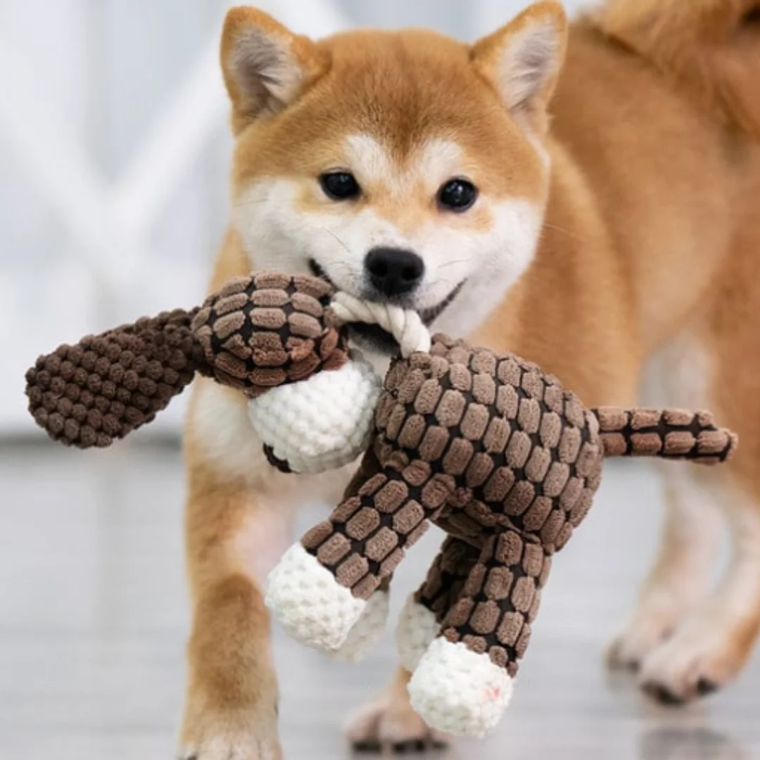 Indestructible Robust Plush BOGO