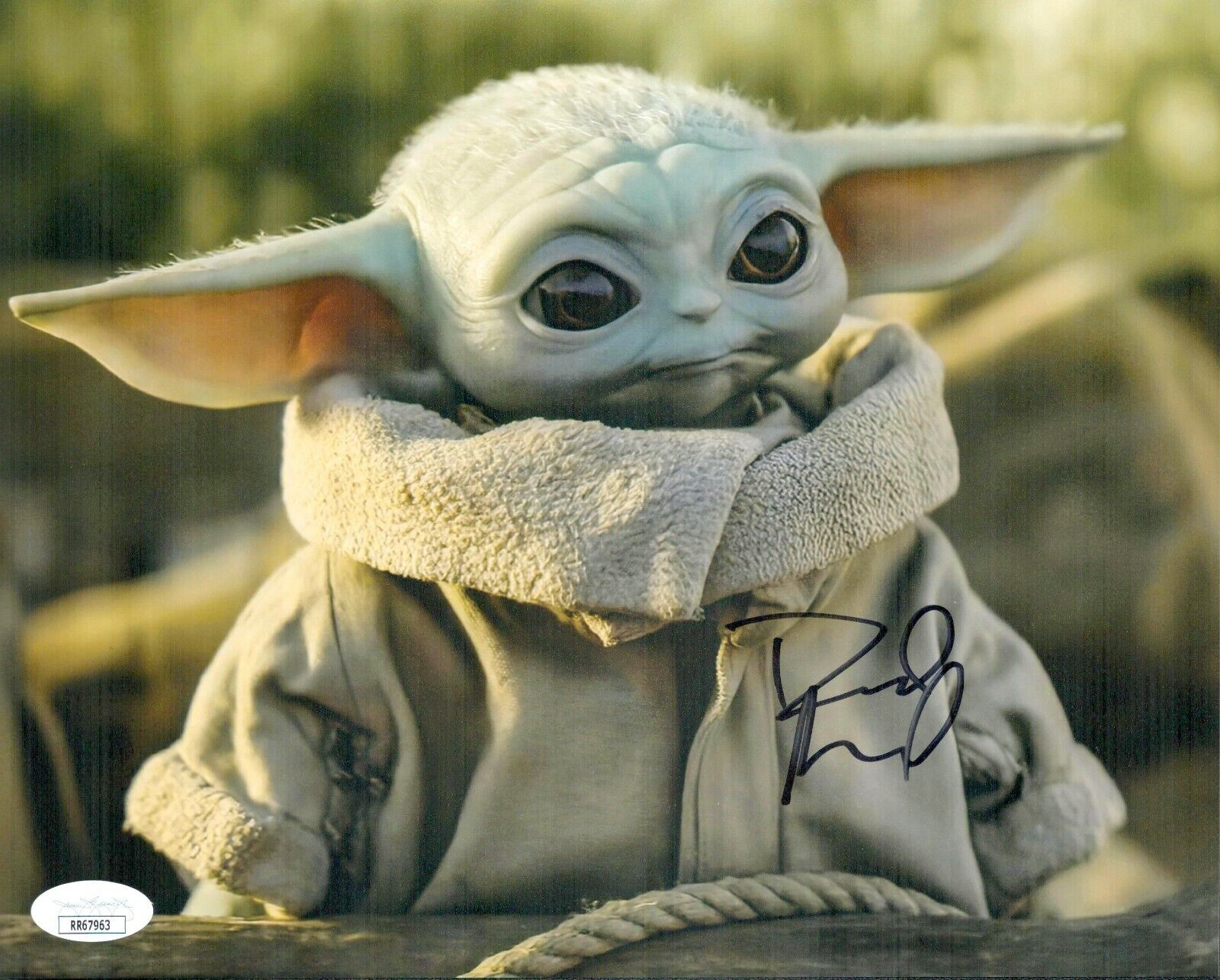 DAVID ACORD Signed 8x10 Mandalorian BABY YODA GROGU Photo Poster painting Autograph JSA COA