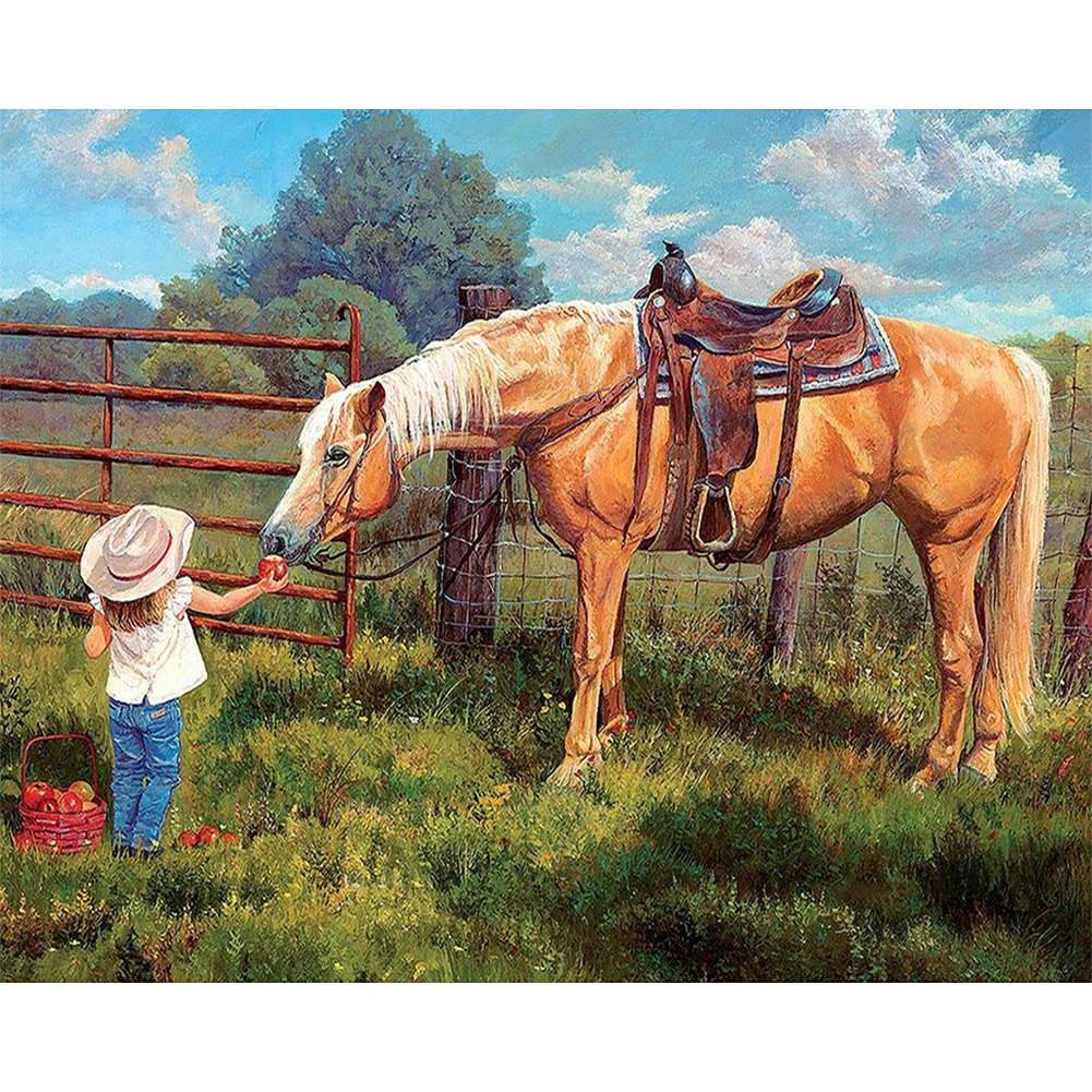 Little Girl Feeding Horse-Paint by Numbers-50x40cm
