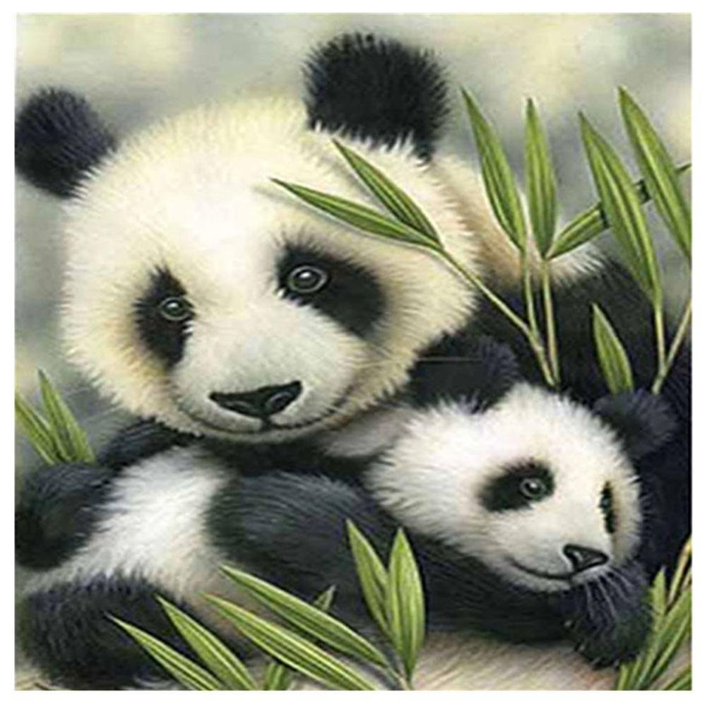 Full Round Diamond Painting Pandas (30*30cm)