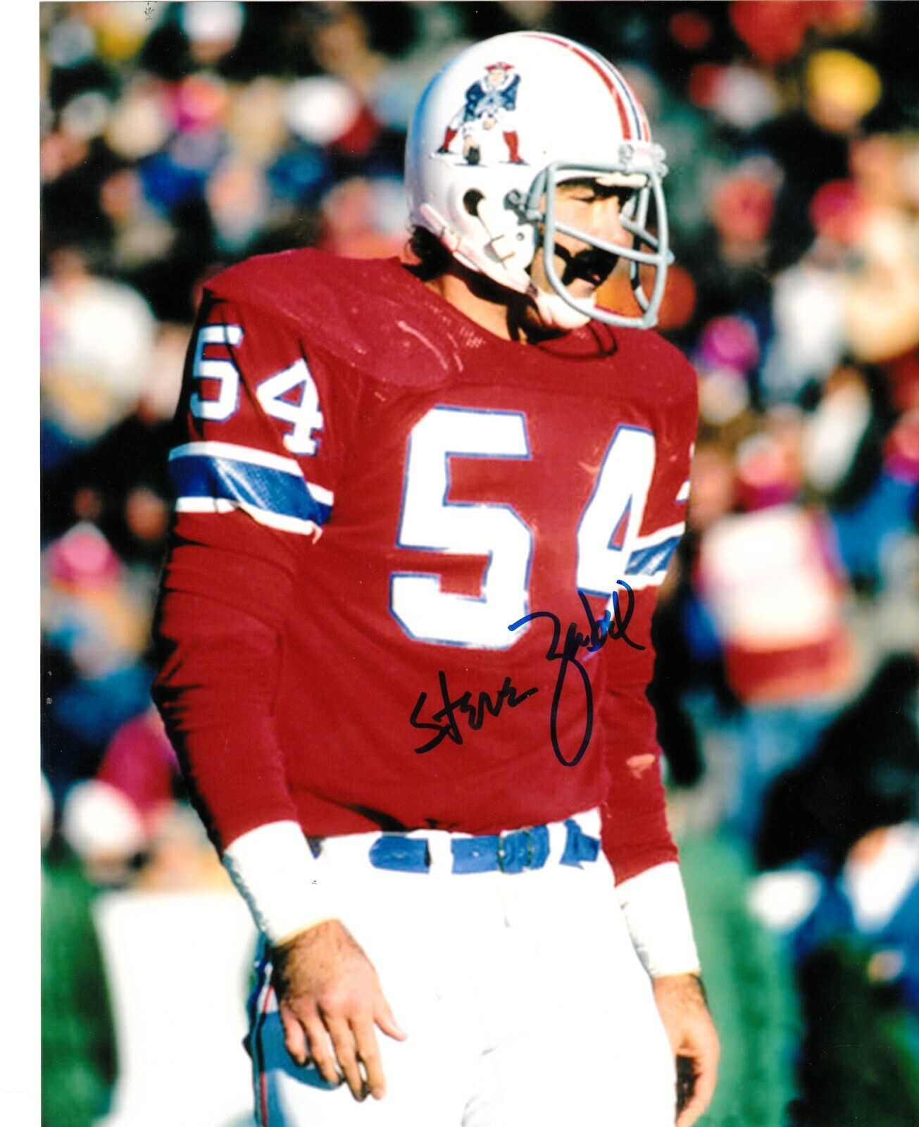 STEVE ZABEL NEW ENGLAND PATRIOTS ACTION SIGNED 8x10