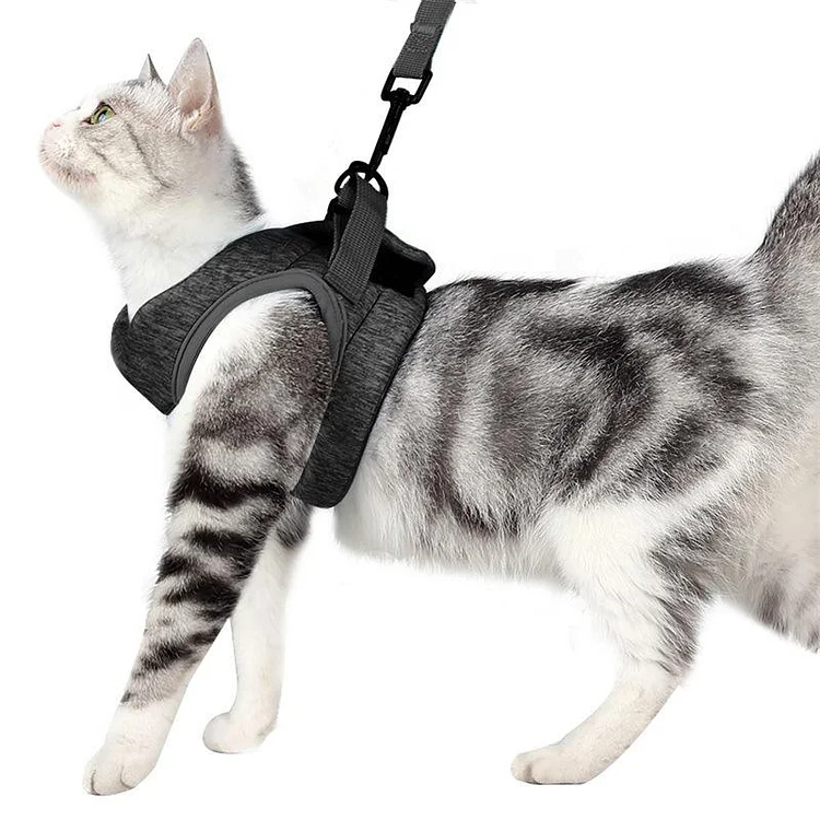 Cat Vest Harness and Leash | 168DEAL