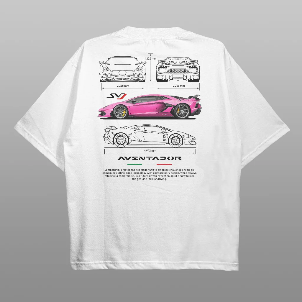 F1 Alfa Romeo Car Printed Men's Oversized T-shirts