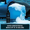 VIKING V+ Car Wash Soap, Auto Gloss Shampoo, Highly Concentrated and pH-Balanced, Use in a Foam Cannon or For a Bucket Wash, 16 FL OZ, Voyager Scent