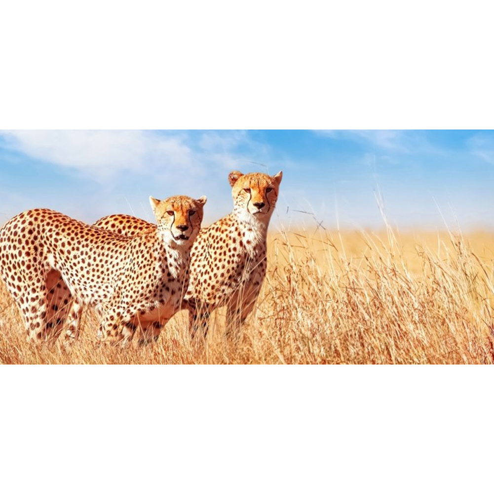 

100*50CM - Round Drill Diamond Painting - Leopard, 501 Original