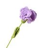 (Finished Product)Crochet Carnation Artificial Carnation Exquisite Aesthetic for Gift Home Office Decor