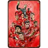 (Multi Style)Football Star - Metal Tin Signs(12*16Inch)