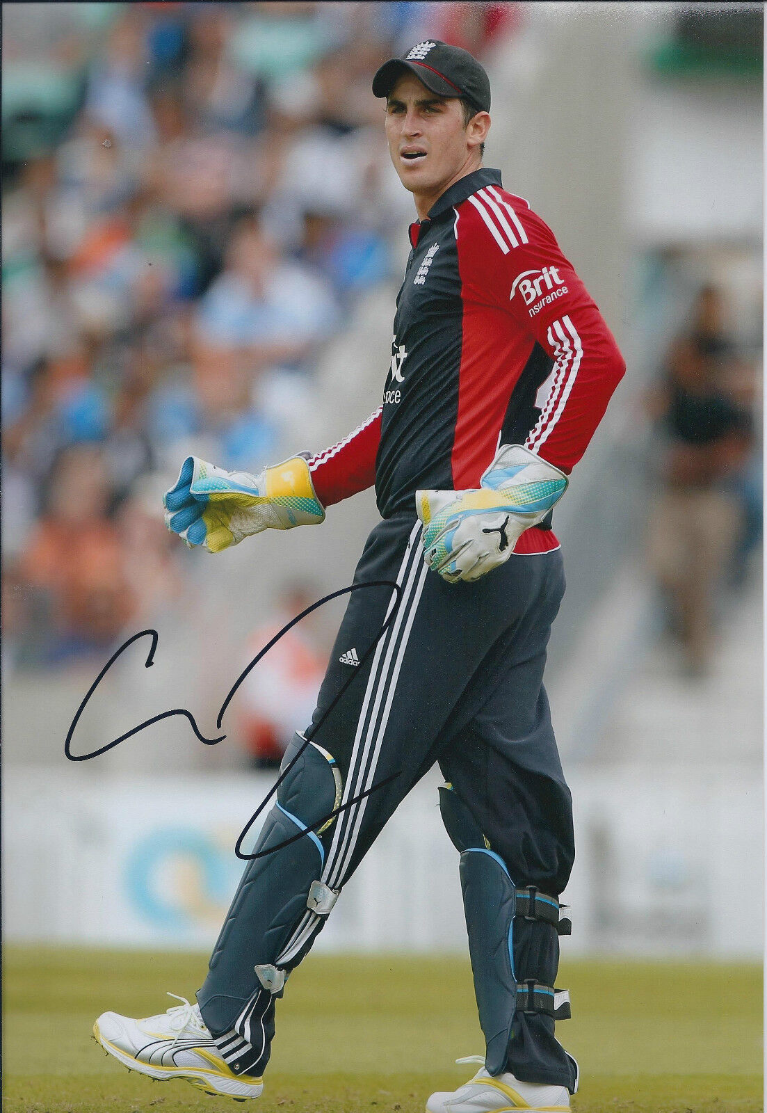 Craig KIESWETTER Signed Autograph 12x8 Photo Poster painting AFTAL COA Cricket Wicketkeeper