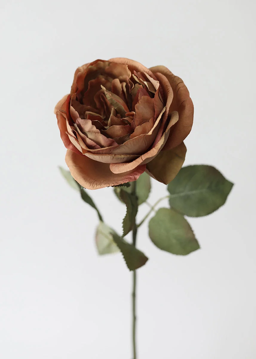 Artificial Garden Rose in Earthy Brown - 26"