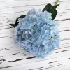 Luxe Real Touch 3D Printed 19cm Stem Hydrangea Artificial Flower