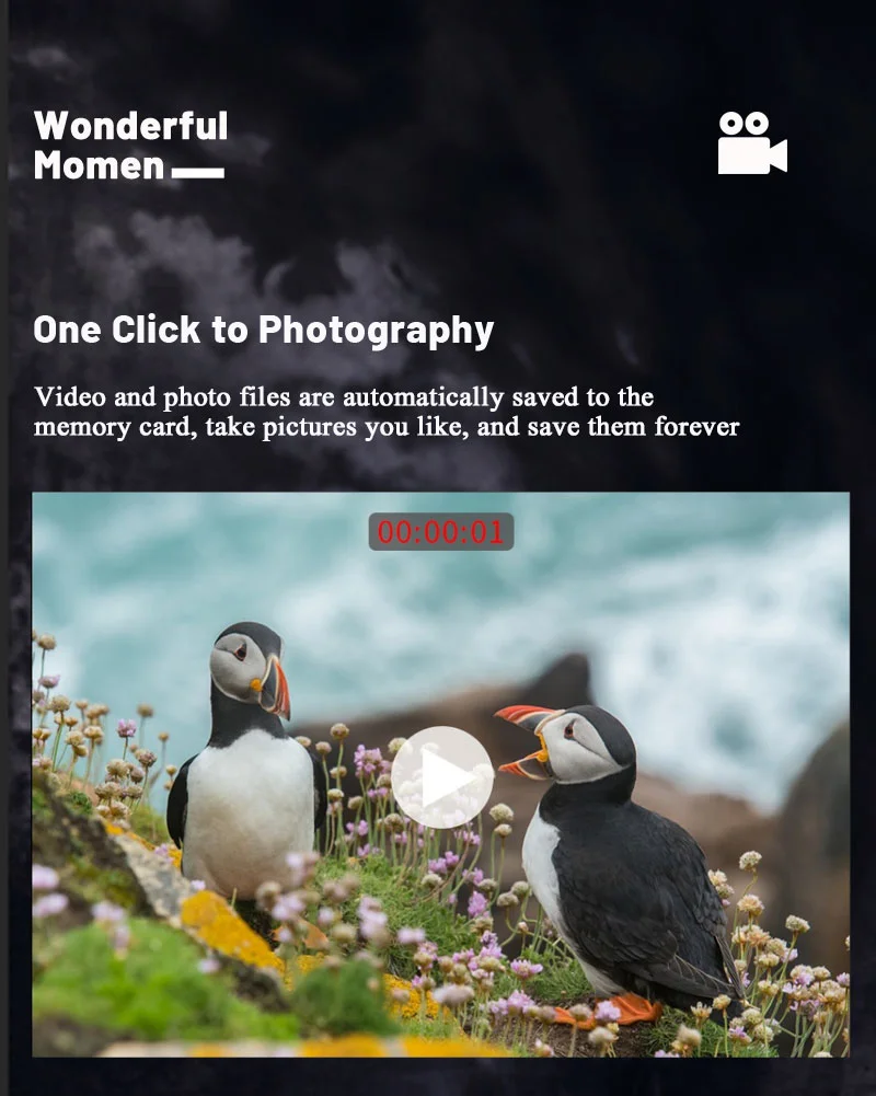 4K Digital Night Vision Scope HD Sony Sensor 4 Cores 3-24X Tactical Sight Hunting Smart Night Vision Weapon Riflescope