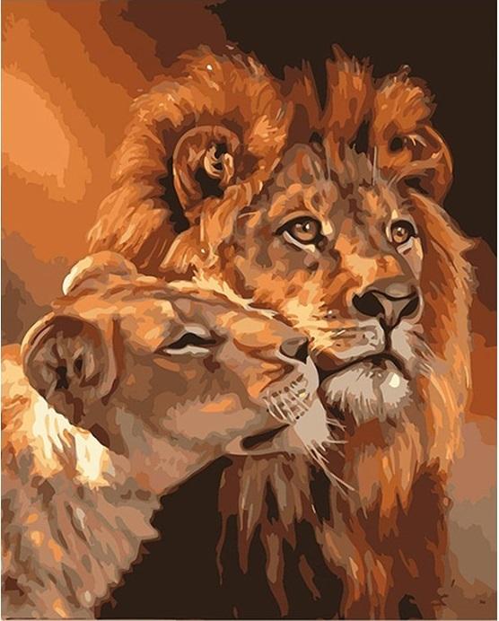 

Lion King – Paint By Numbers - 40*50CM, 501 Original