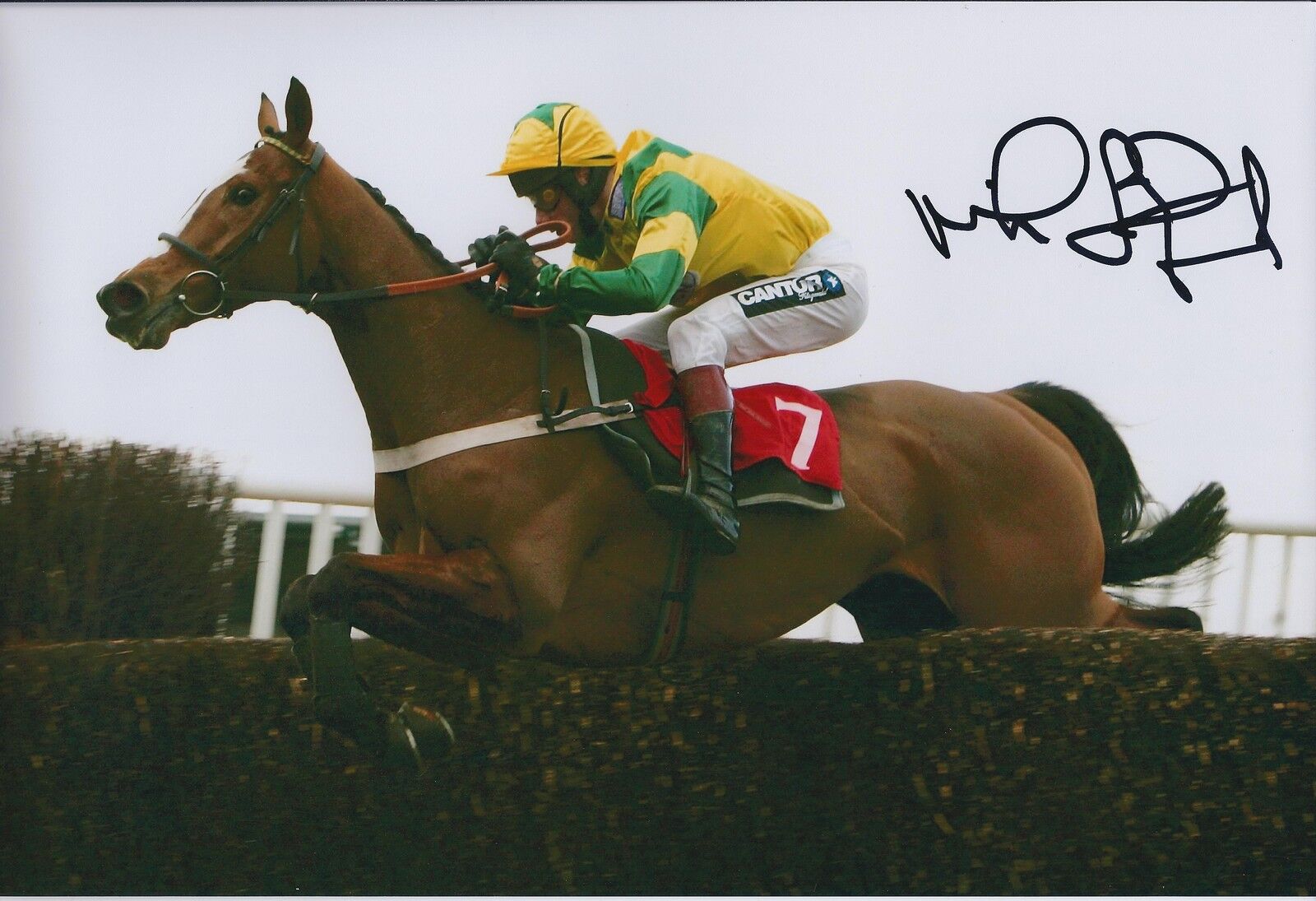 Mick Fitzgerald HAND SIGNED Obtained In Person Autograph 12x8 Photo Poster painting AFTAL COA