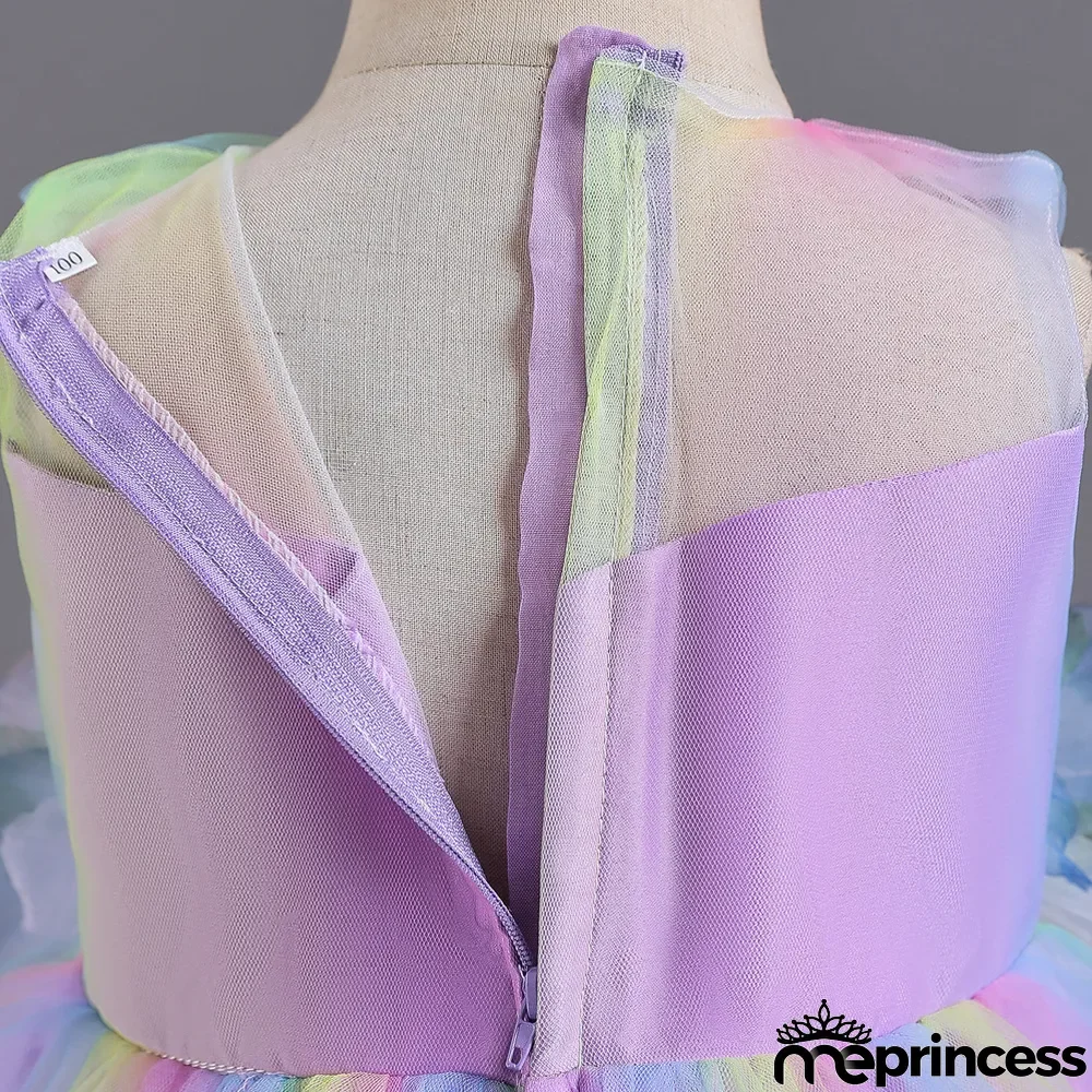 Infant and Toddler Dresses Floral Dress Multi-Color Mesh Pouf Princess Dress