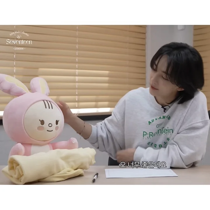 SEVENTEEN - SEVENTEEN PLUFFY TORAM &amp; BLANKET SET トラム Seventeen JEONGHAN PLUFFY TORAM BLANKET SET Artist-Made