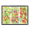 Bee-Snail-Berry-14CT Stamped Cross Stitch 44*32cm/17.32*12.6in