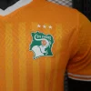 2024 Player Ivory Coast Soccer Jersey Home