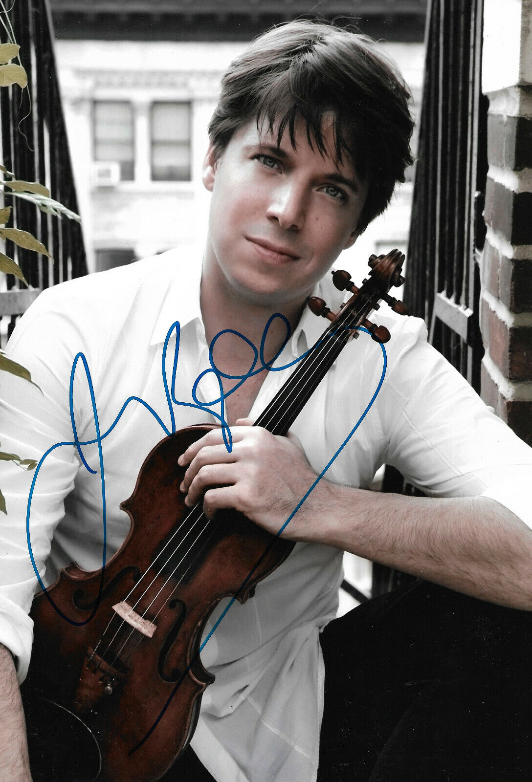 Joshua Bell Violinist signed 8x12 inch Photo Poster painting autograph