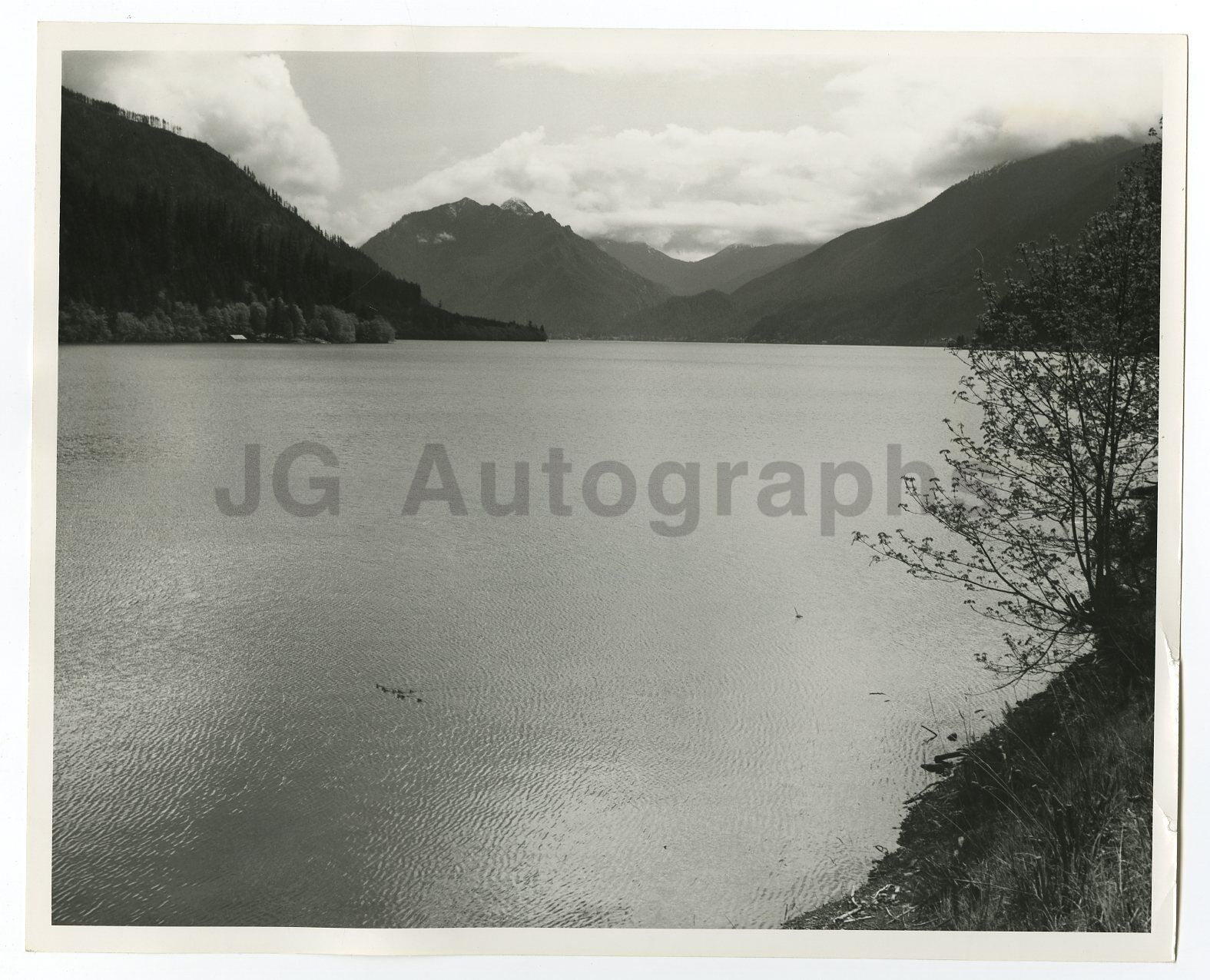 Washington State History - Olympic National Park - Vintage 8x10 Photo Poster painting