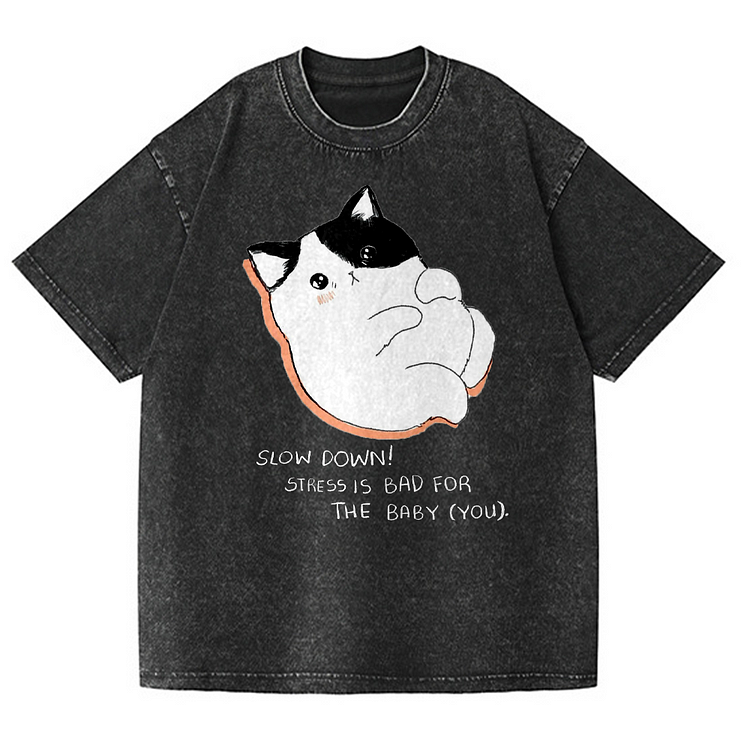 Slow Down Men's washed T-shirt