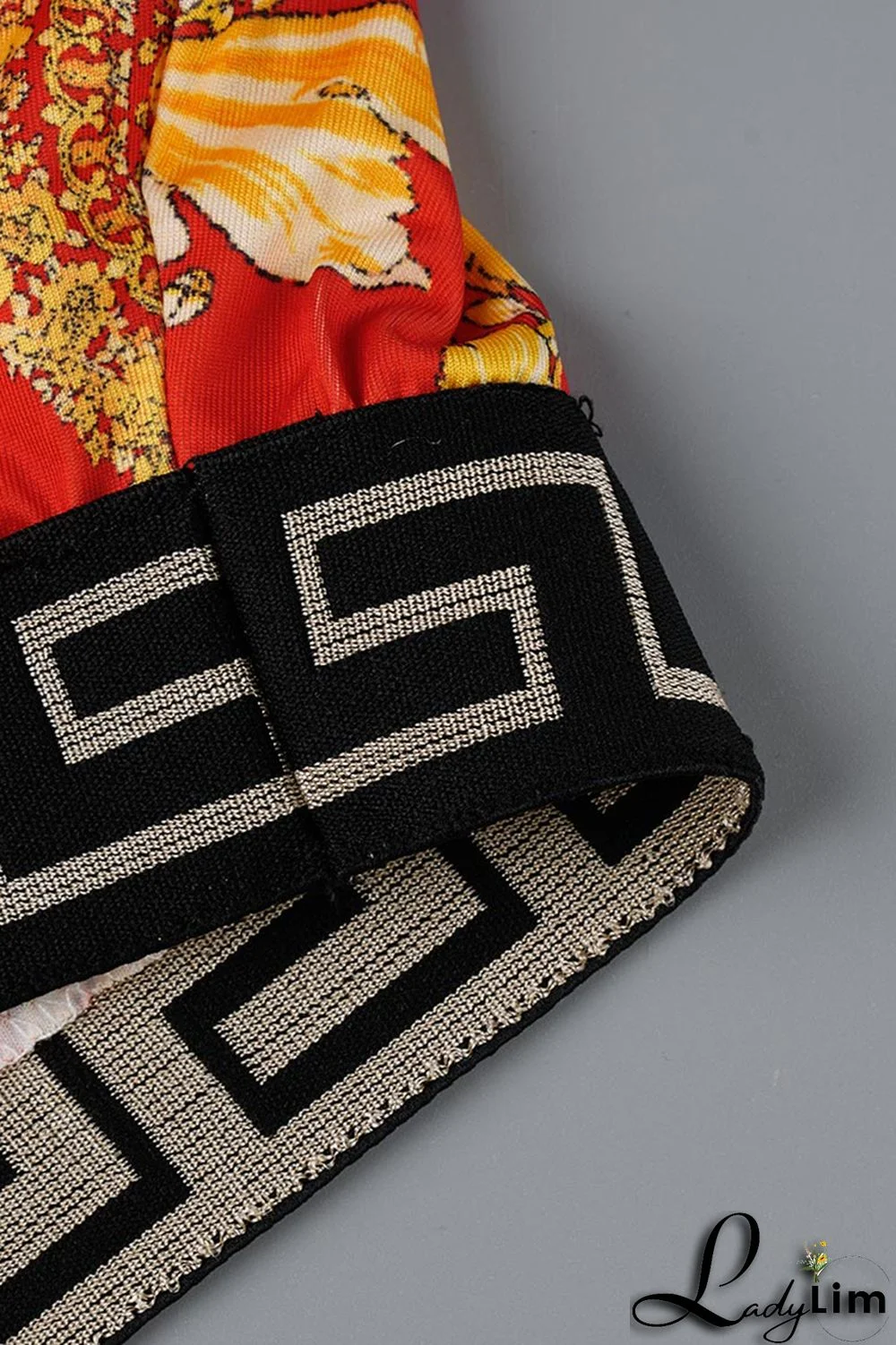 Red Fashion Casual Print Patchwork Backless O Neck Sleeveless Two Pieces