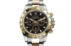Rolex 116503 Cosmograph Daytona - Rolex Warranty to 2026