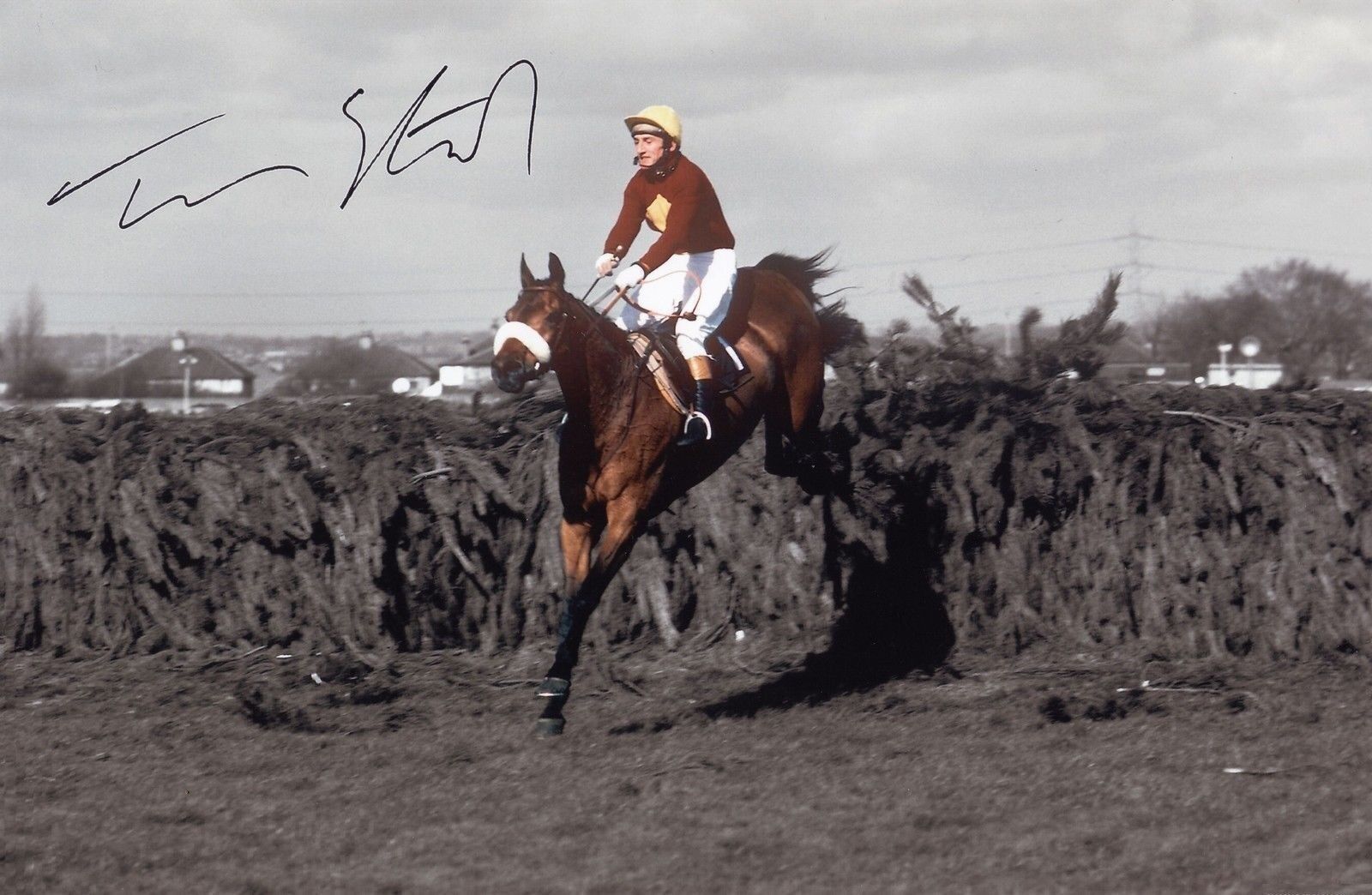 TOMMY STACK - RED RUM AUTOGRAPH SIGNED PP Photo Poster painting POSTER