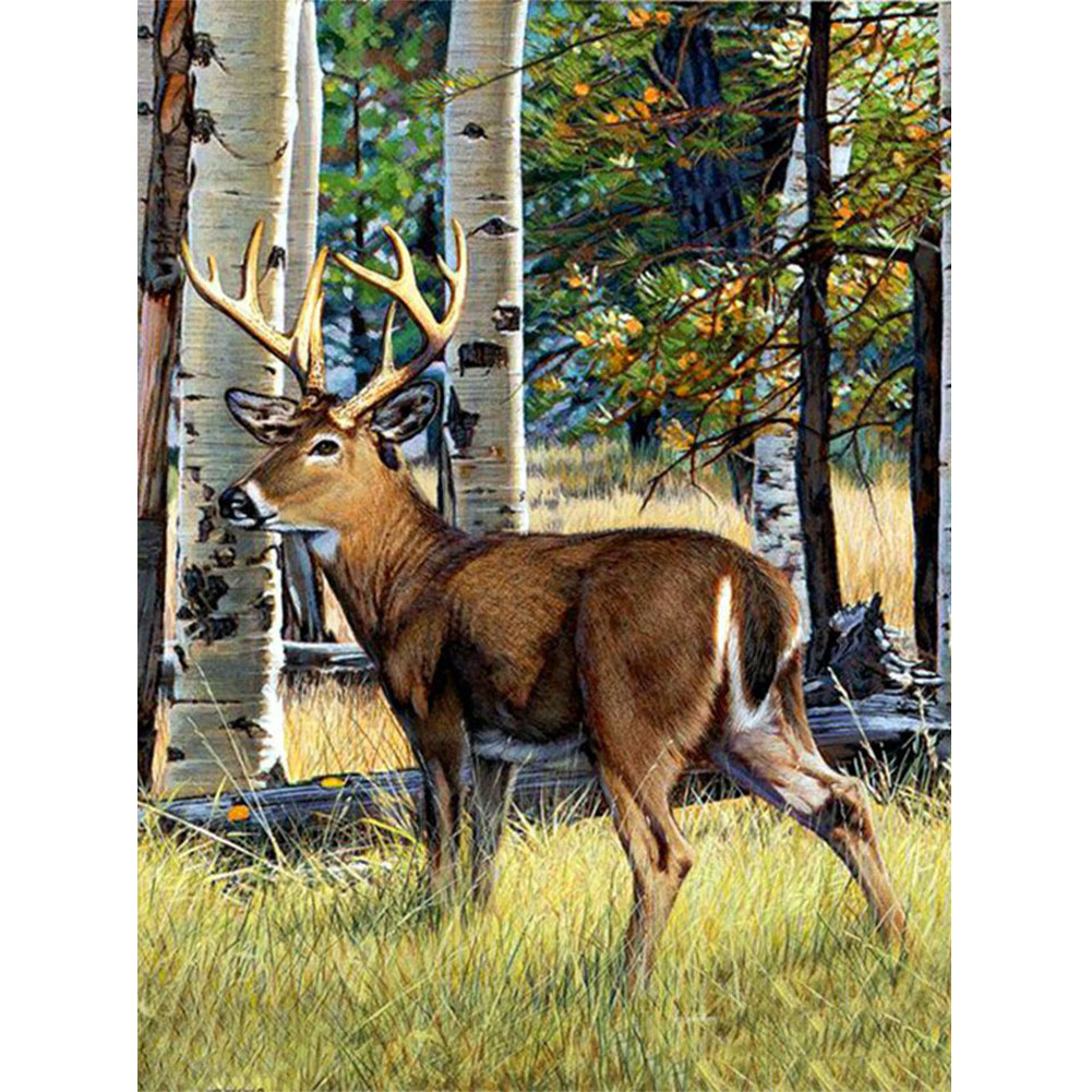 

Antelope - Square Drill Diamond Painting - 50*60CM (Big Size), 501 Original