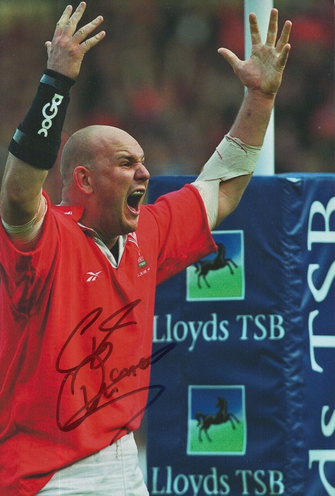 Craig Quinnell Hand Signed Wales Rugby 12x8 Photo Poster painting 2.