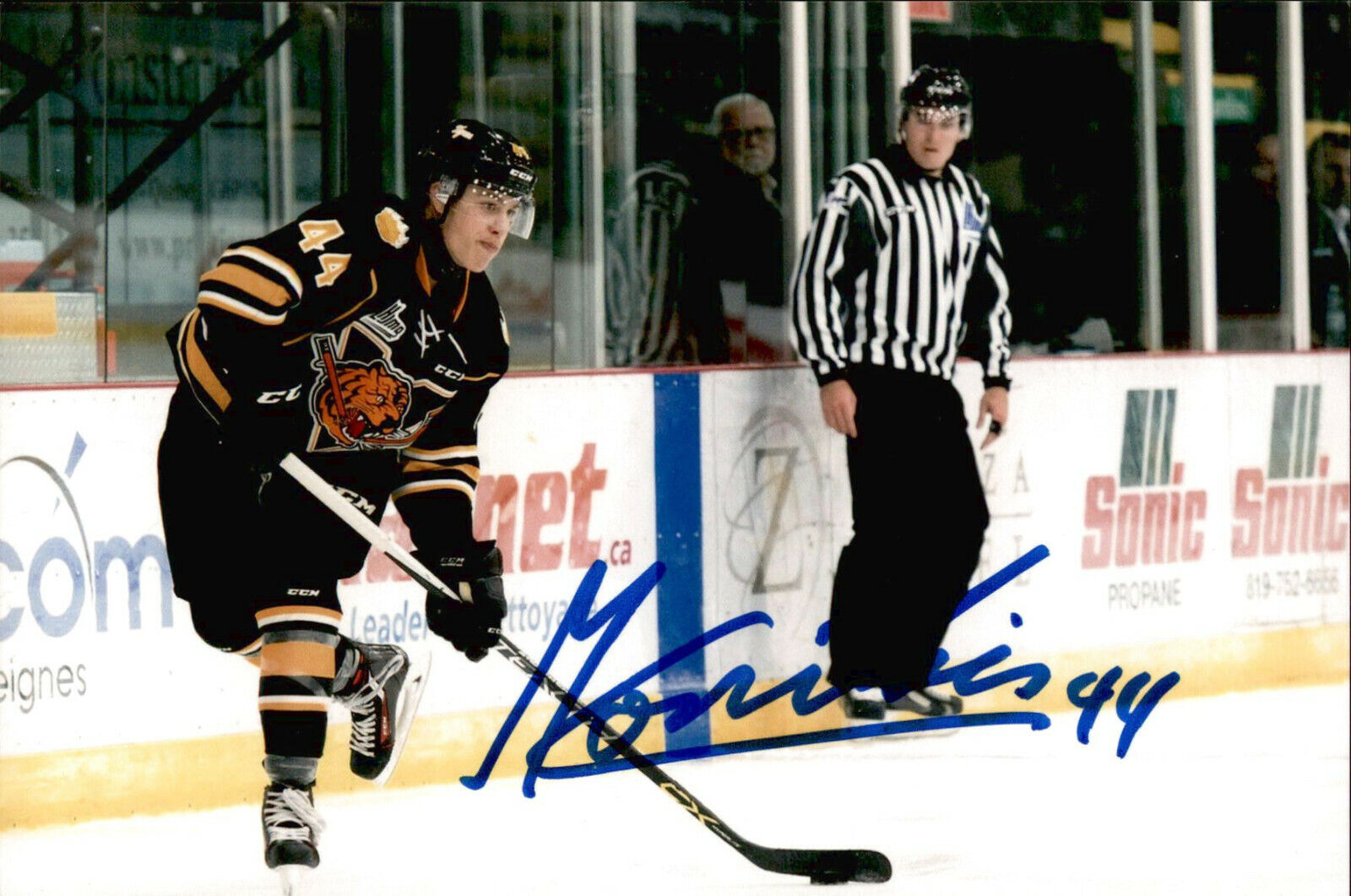 Maxime Comtois SIGNED auto 4x6 Photo Poster painting VICTORIAVILLE TIGRES / ANAHEIM DUCKS #3