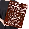 Warning No Trespassing - Vintage Metal Signs(12*16Inch) - Warning